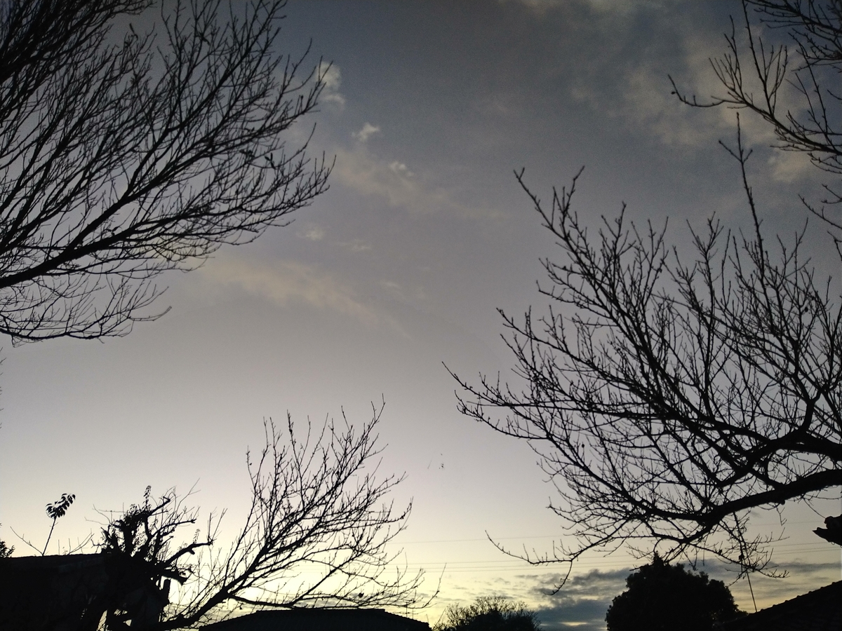 f:id:mosgreen3111:20201202225626j:plain