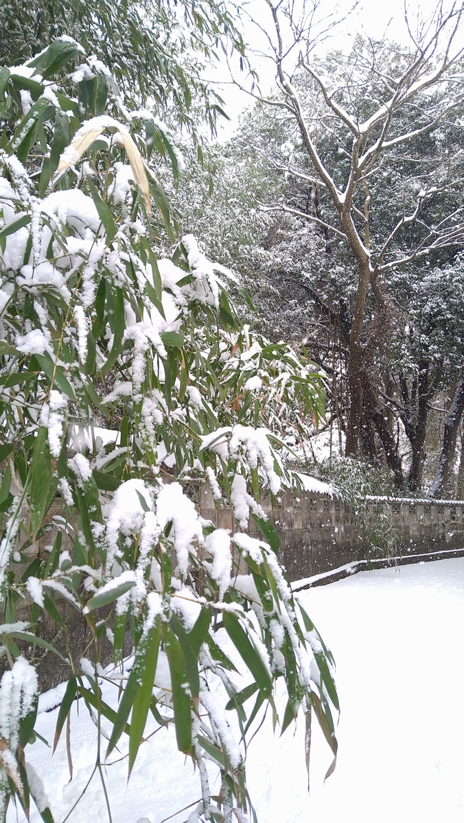 f:id:mosgreen3111:20210109231914j:plain