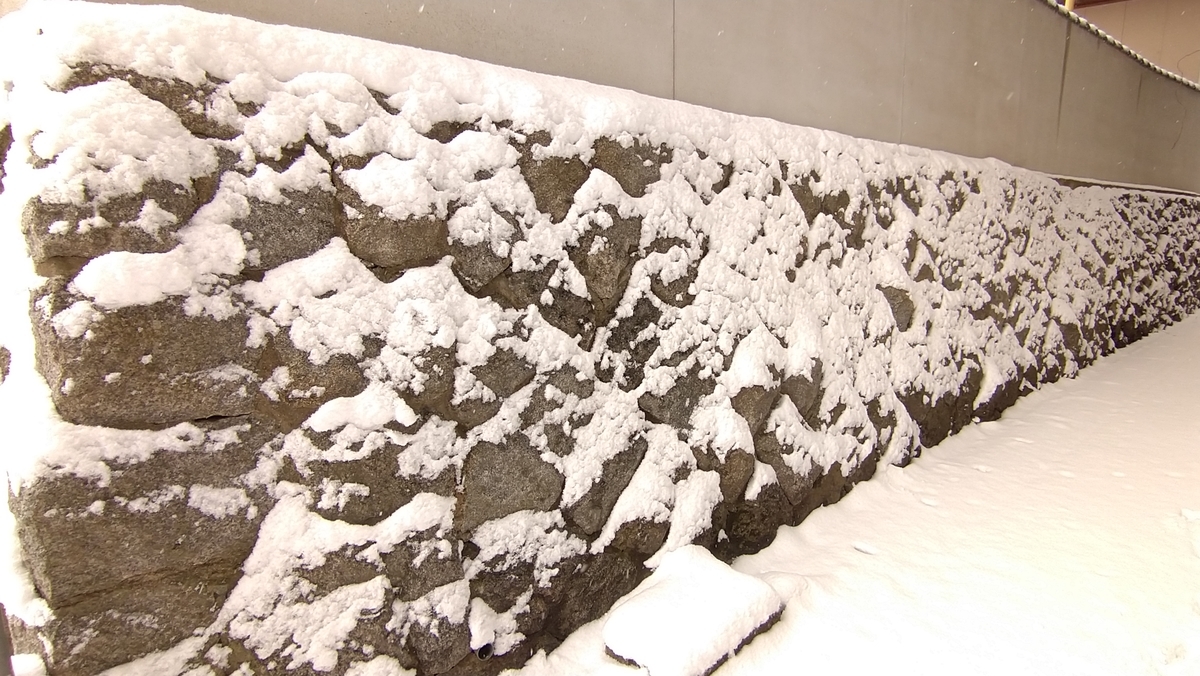 f:id:mosgreen3111:20210109232046j:plain