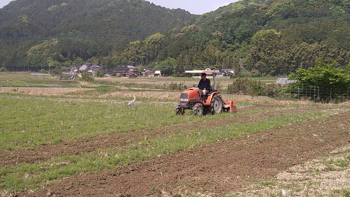 f:id:mosgreen3111:20210509220908j:plain