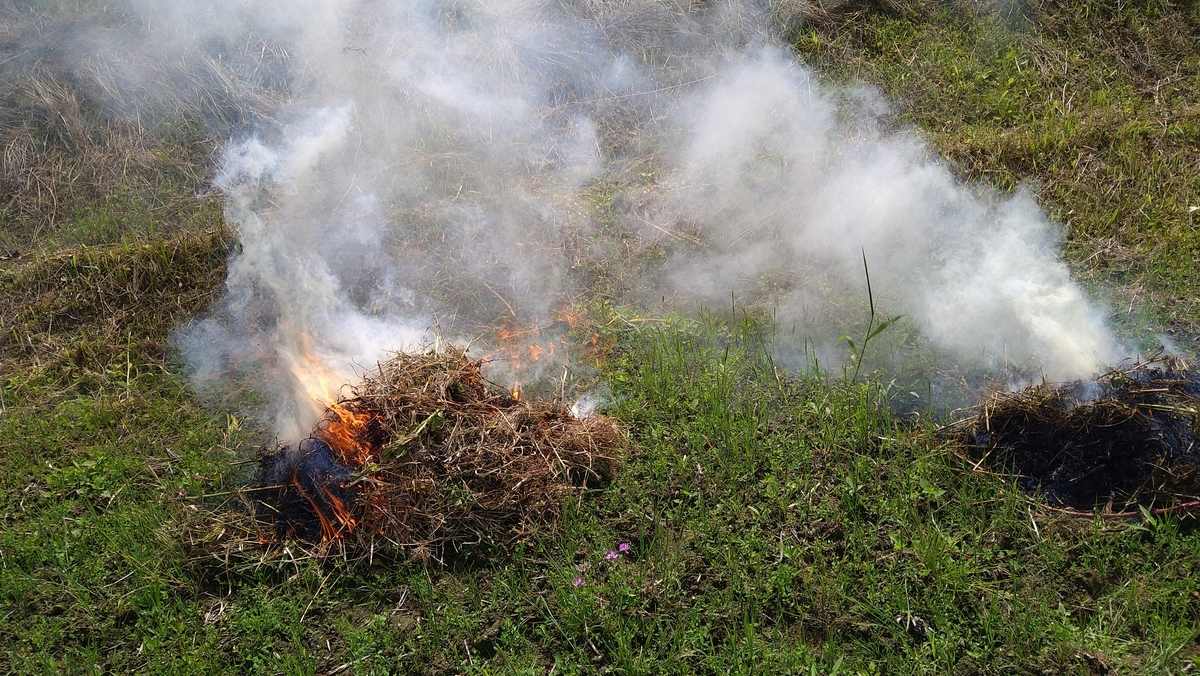 f:id:mosgreen3111:20210509221525j:plain