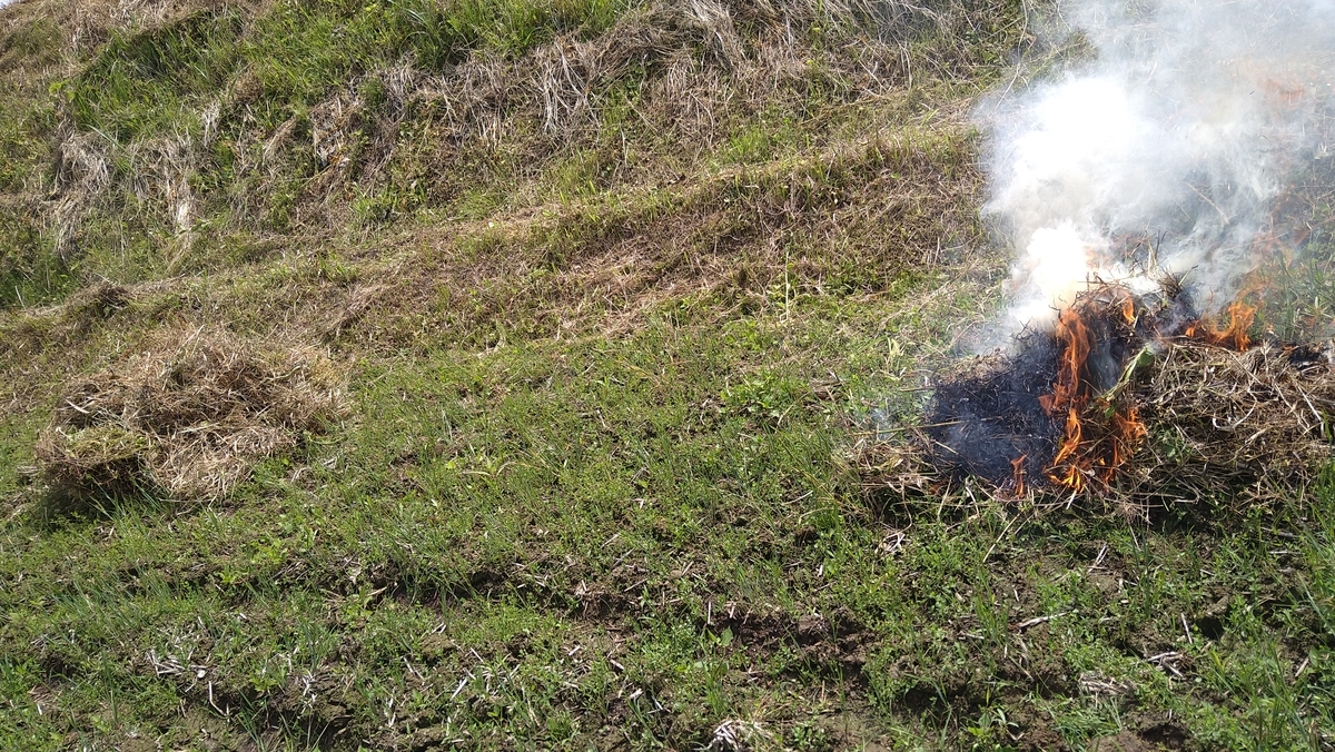 f:id:mosgreen3111:20210509221800j:plain