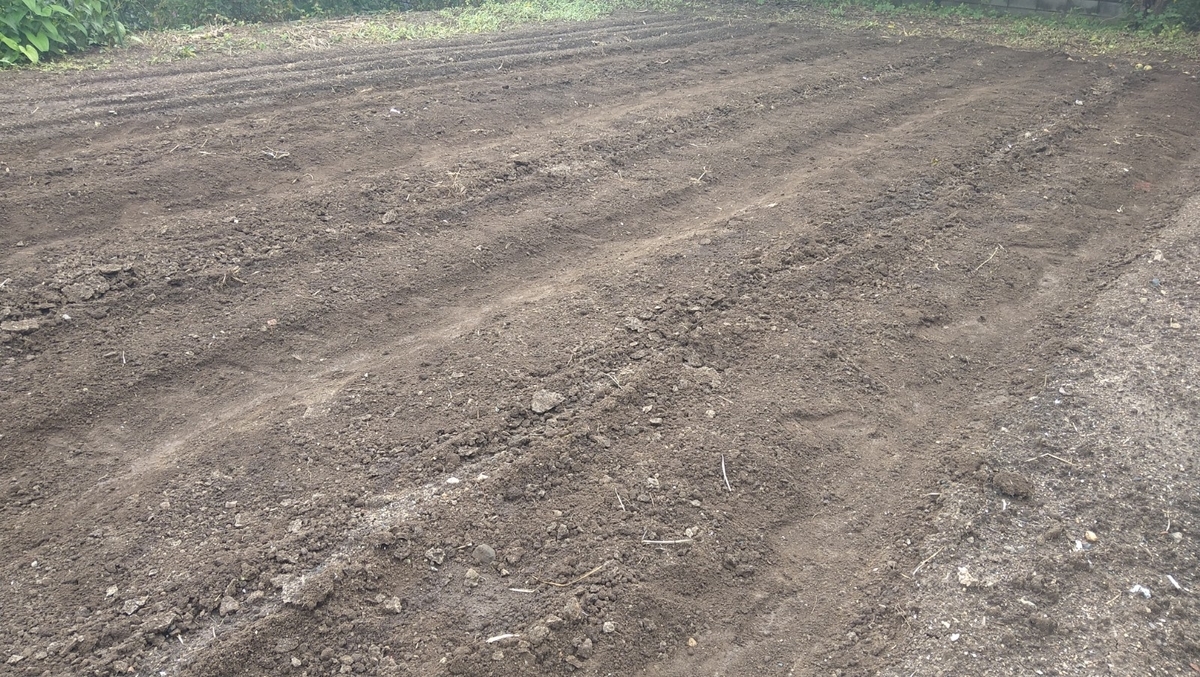 f:id:mosgreen3111:20210907093028j:plain