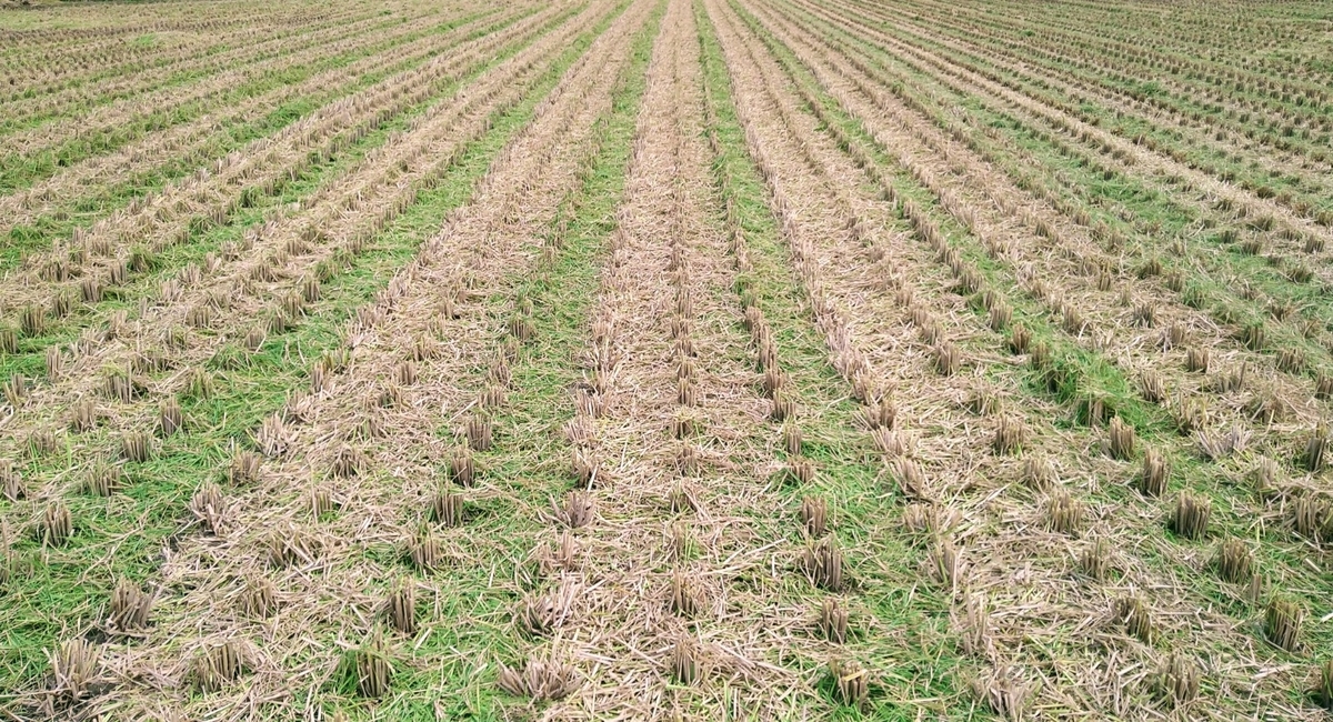 f:id:mosgreen3111:20210926212350j:plain