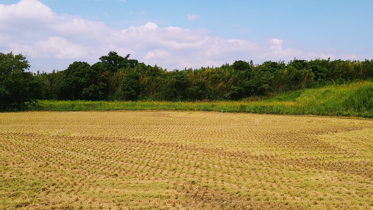 f:id:mosgreen3111:20210926221812j:plain