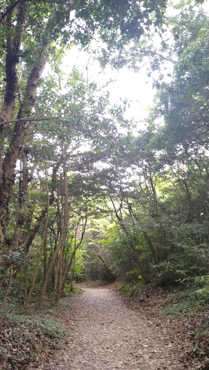 f:id:mosgreen3111:20210928220850j:plain