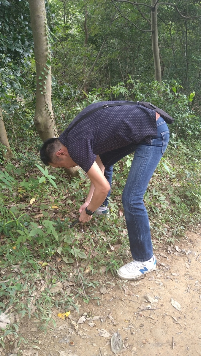 f:id:mosgreen3111:20210928222020j:plain