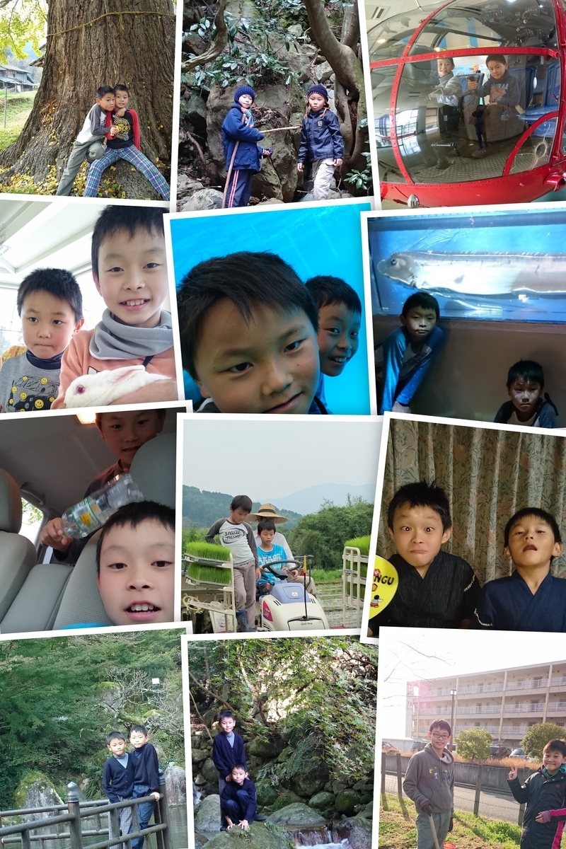f:id:mosgreen3111:20211130232942j:plain
