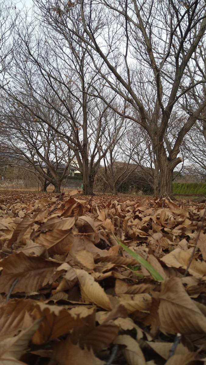 f:id:mosgreen3111:20220110155129j:plain