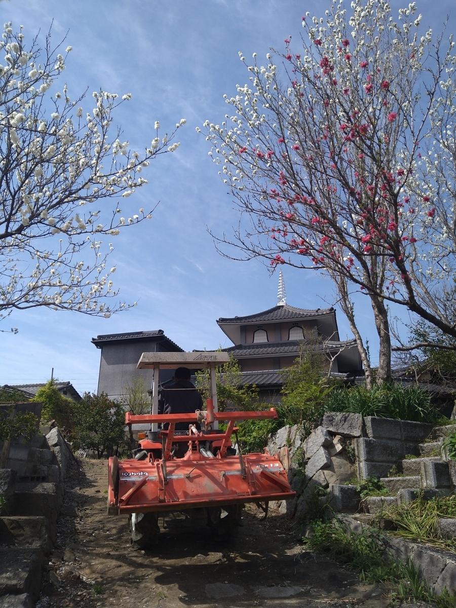 f:id:mosgreen3111:20220402214807j:plain