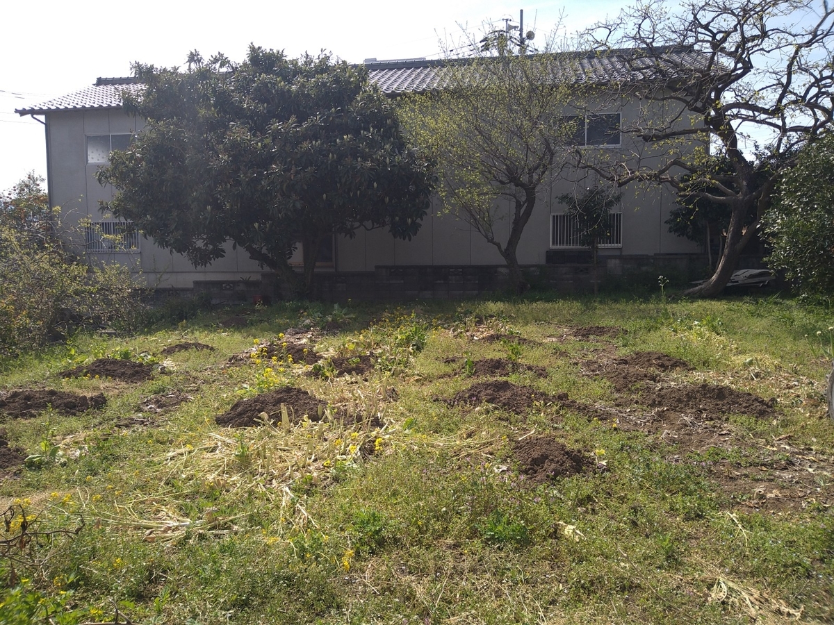 f:id:mosgreen3111:20220402215216j:plain