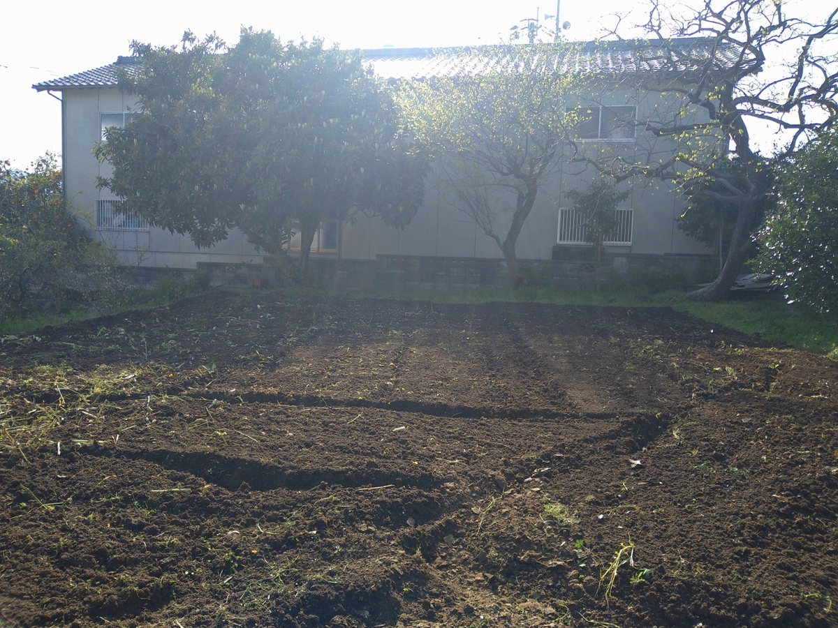 f:id:mosgreen3111:20220402215243j:plain