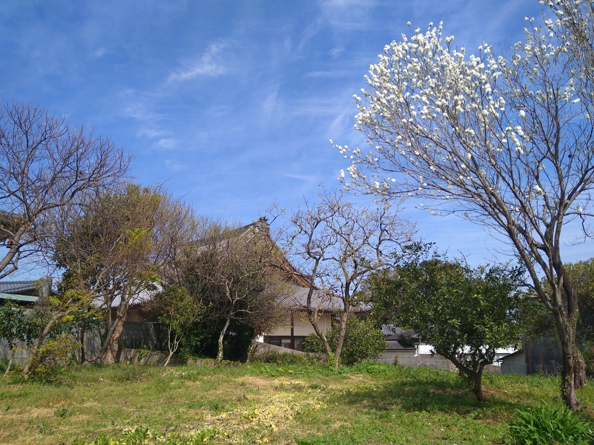 f:id:mosgreen3111:20220402215326j:plain