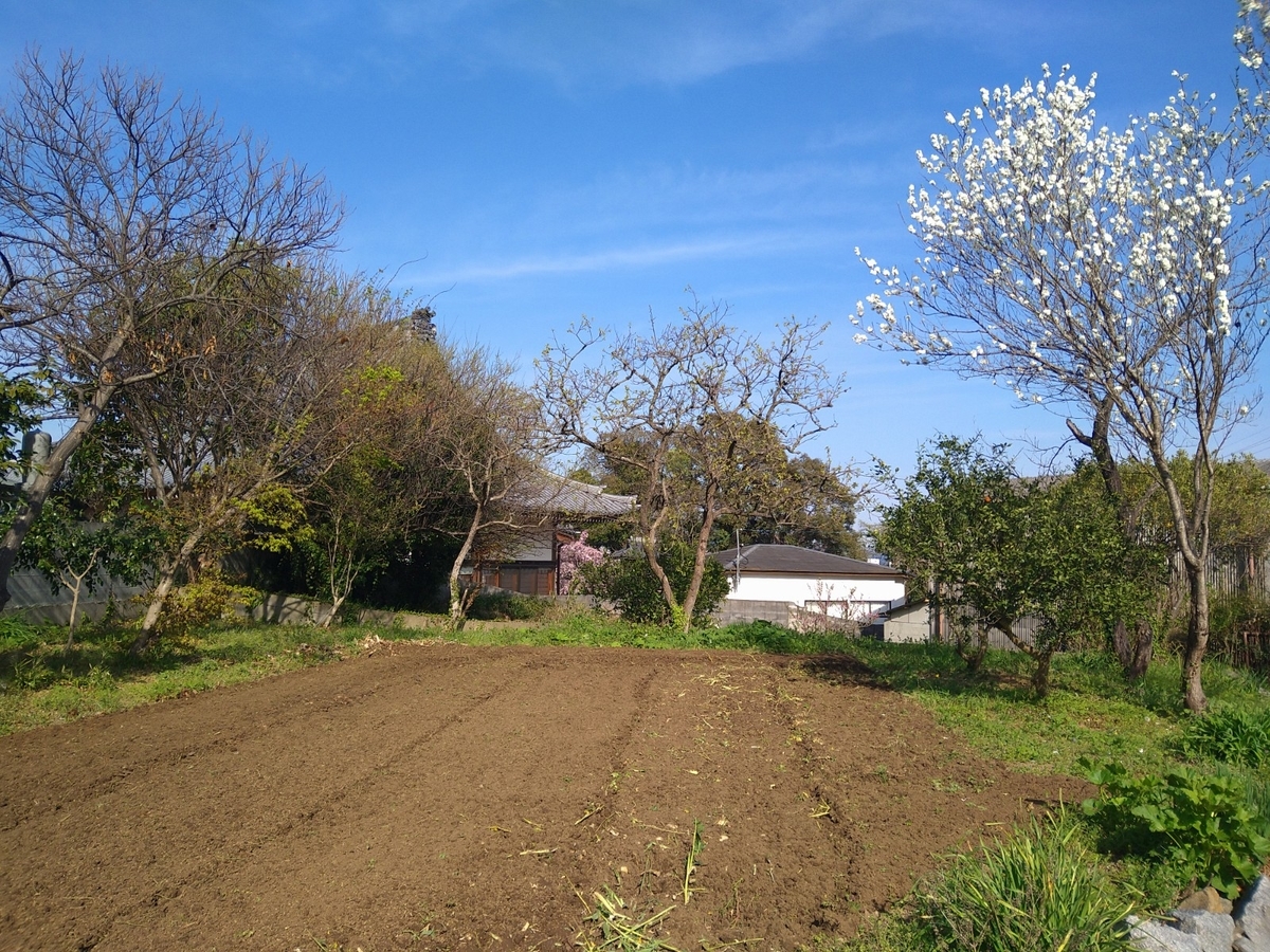 f:id:mosgreen3111:20220402215346j:plain