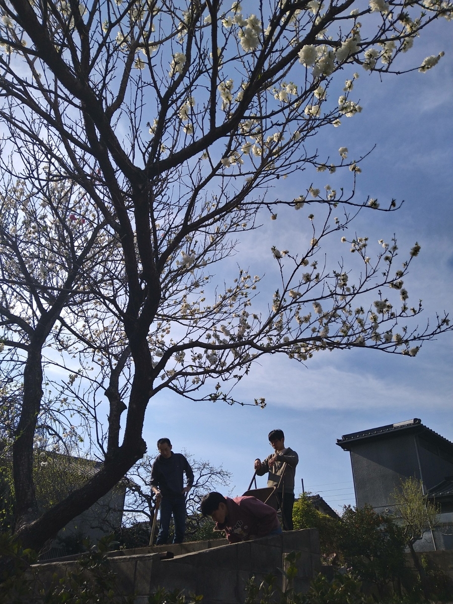 f:id:mosgreen3111:20220402215429j:plain