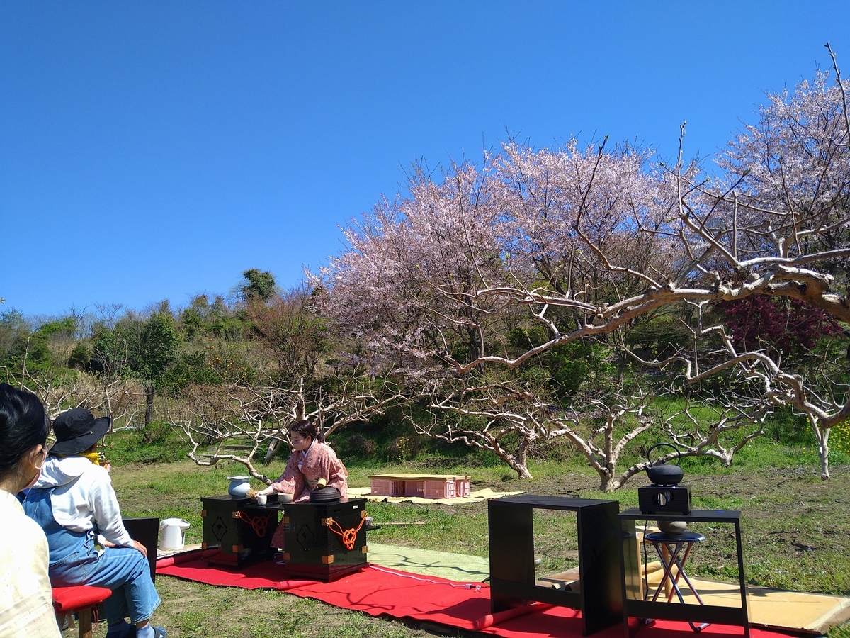 f:id:mosgreen3111:20220405165748j:plain