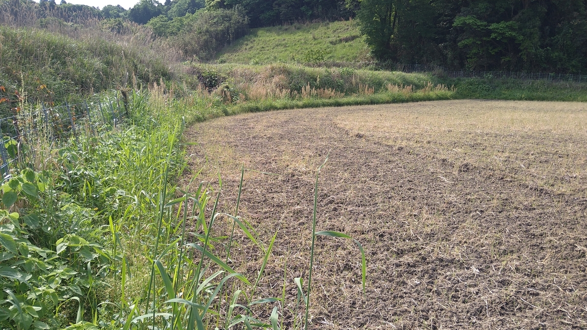 【畦の草刈り】 - 農家の嫁が働きながらこっそりつぶやく独り言