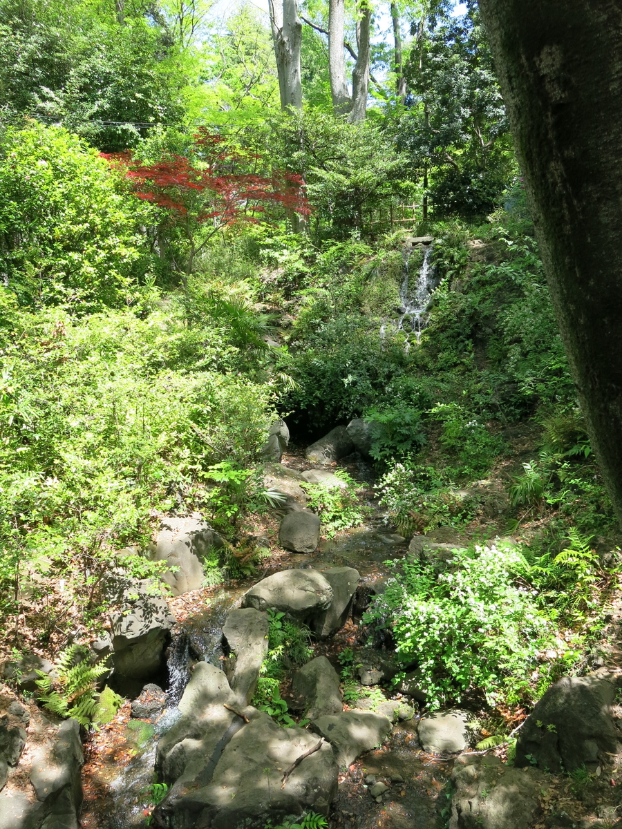 f:id:moshimotakahashi:20190428180432j:plain f:id:moshimotakahashi:20190428180432j:plain