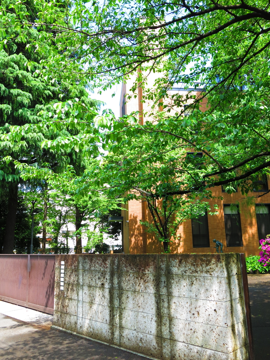 f:id:moshimotakahashi:20190502142923j:plain f:id:moshimotakahashi:20190502142923j:plain