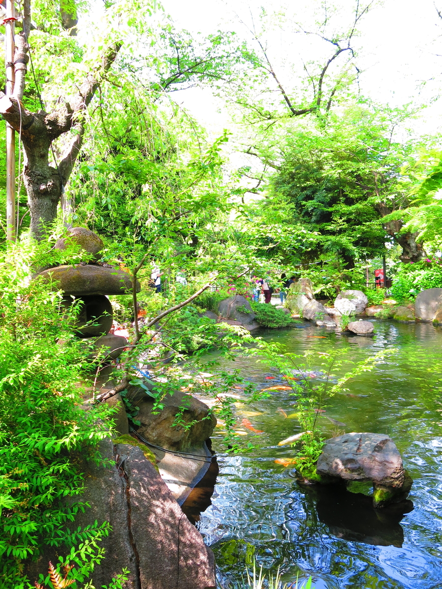 f:id:moshimotakahashi:20190503173733j:plain f:id:moshimotakahashi:20190503173733j:plain