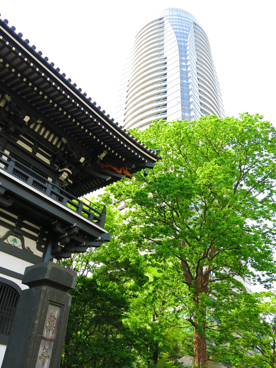 f:id:moshimotakahashi:20190503184523j:plain f:id:moshimotakahashi:20190503184523j:plain