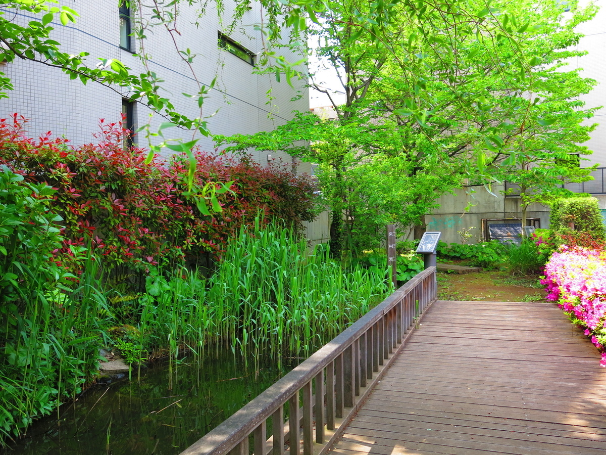 f:id:moshimotakahashi:20190505184805j:plain f:id:moshimotakahashi:20190505184805j:plain