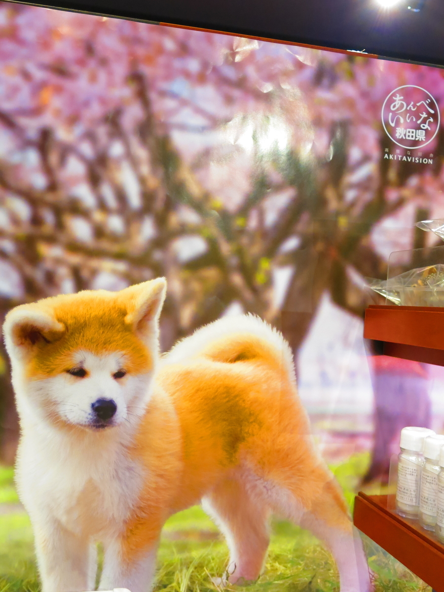 f:id:moshimotakahashi:20190506180932j:plain f:id:moshimotakahashi:20190506180932j:plain