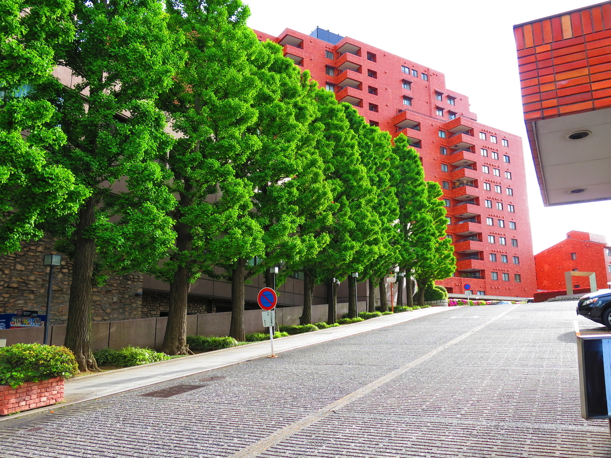 f:id:moshimotakahashi:20190506190245j:plain f:id:moshimotakahashi:20190506190245j:plain