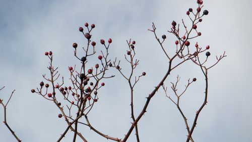 f:id:moshiryu33:20180113083835j:plain