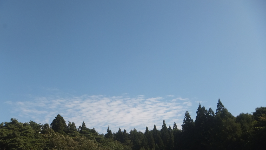 f:id:moshiryu33:20181004203117j:plain