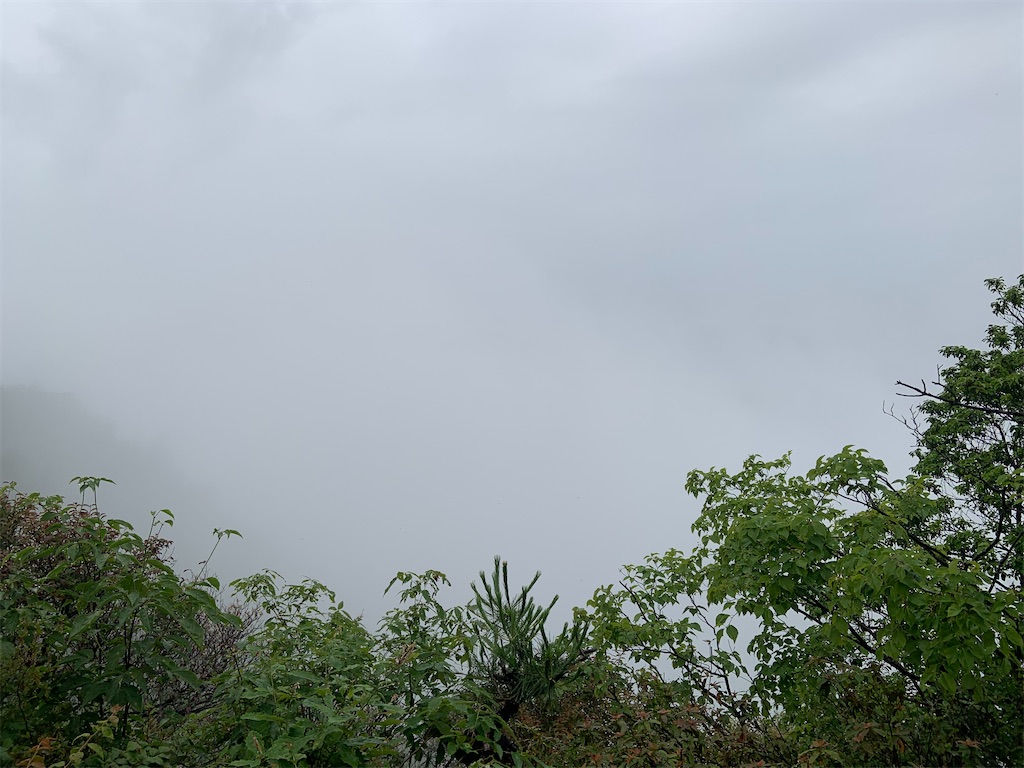 f:id:moshmi05:20230622065500j:image f:id:moshmi05:20230622065500j:image