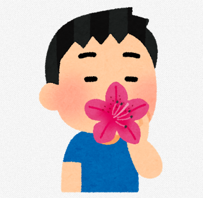 f:id:mosimosigarake4423:20190706203300p:plain