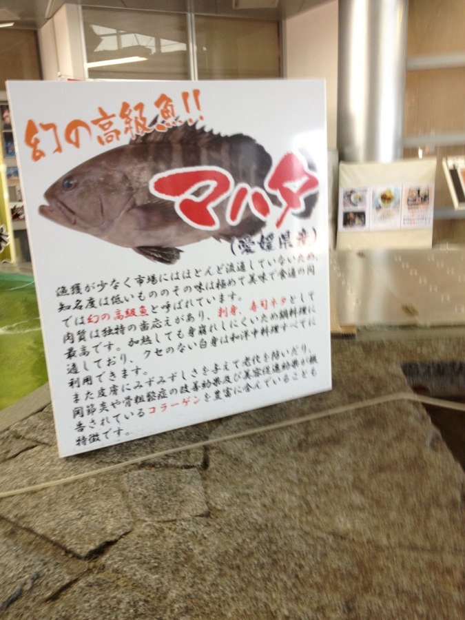 20120722130510