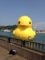 20120722144211
