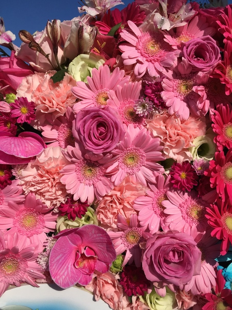 f:id:mossanmaster:20181115203125j:plain