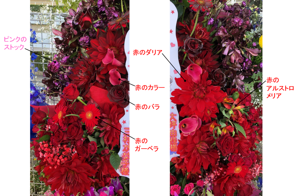 シンデレラガールズ6thlive ナゴヤドーム公演 大坪さん かな子ちゃんお花企画について もっさんのブログ シンデレラガールズ6thlive ナゴヤドーム公演 大坪さん かな子ちゃんお花企画について もっさんのブログ