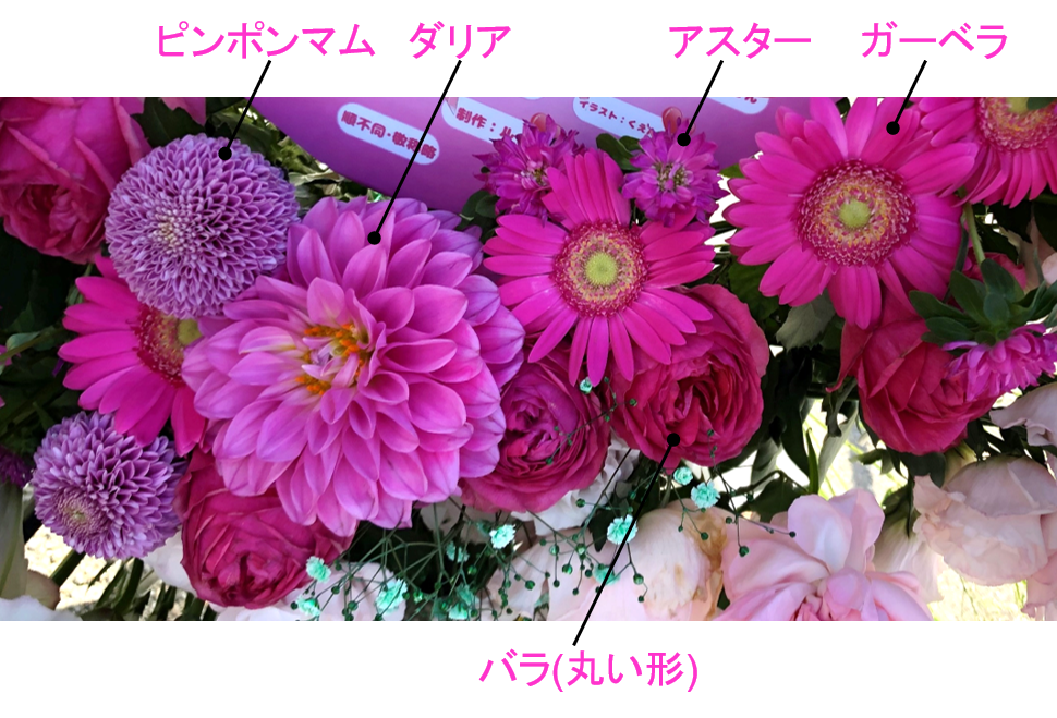 f:id:mossanmaster:20191112230507p:plain f:id:mossanmaster:20191112230507p:plain