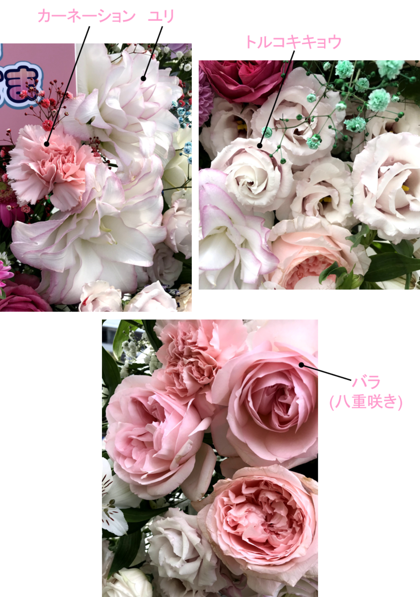 f:id:mossanmaster:20191112230655p:plain f:id:mossanmaster:20191112230655p:plain