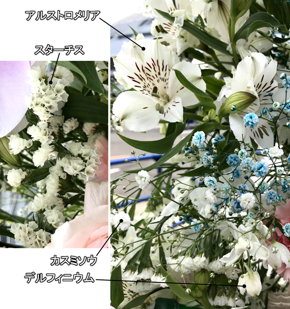 f:id:mossanmaster:20191112230858p:plain f:id:mossanmaster:20191112230858p:plain