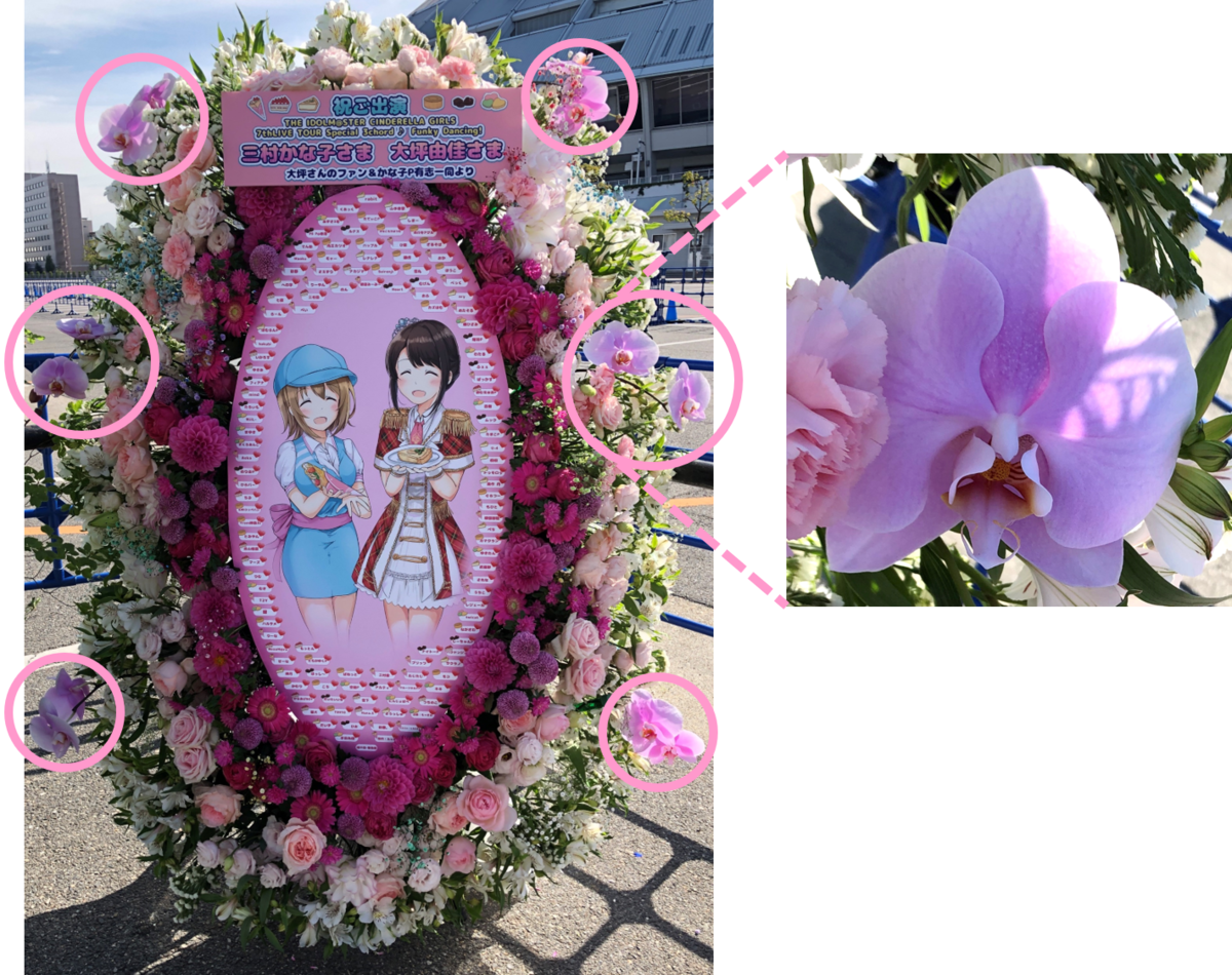 f:id:mossanmaster:20191112231018p:plain f:id:mossanmaster:20191112231018p:plain