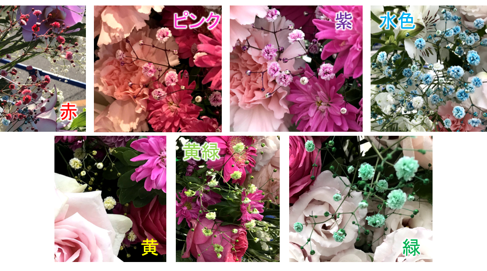 f:id:mossanmaster:20191112231126p:plain f:id:mossanmaster:20191112231126p:plain