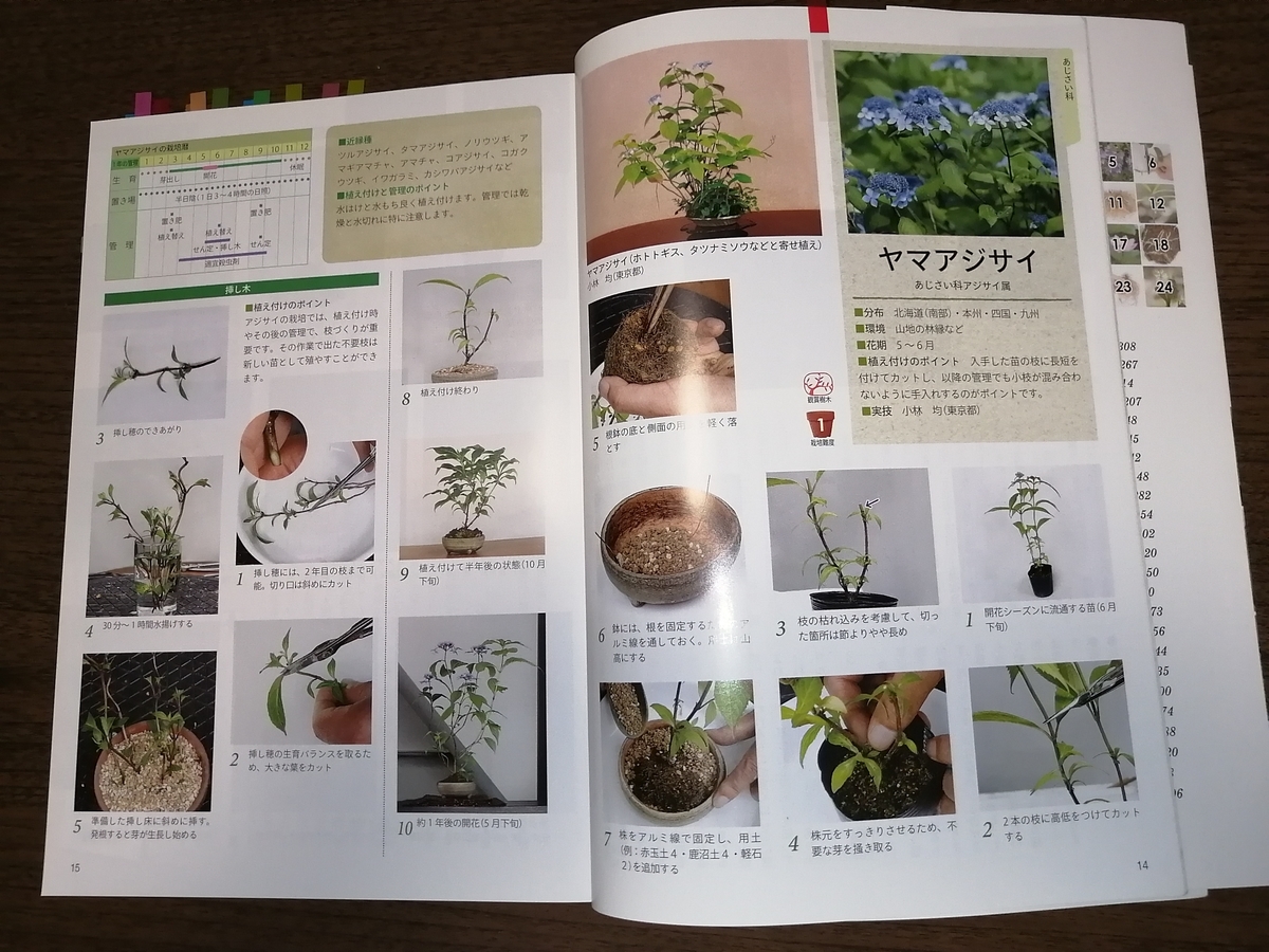 園芸初心者、これで勉強してます - 小庭とアートのある暮らし