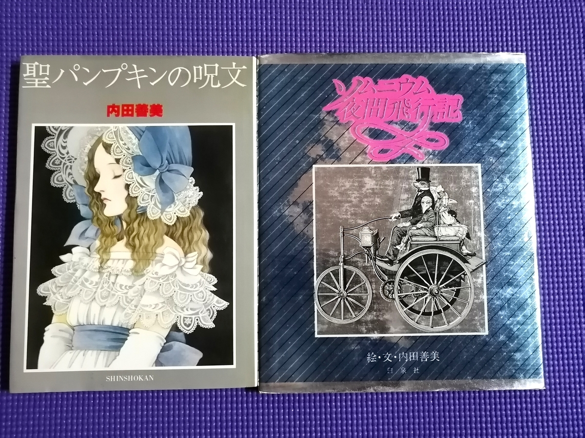 ソムニウム夜間旅行記 内田善美 ソムニウム夜間飛行記(内田善美 絵・文) / 古本、中古本、古書籍