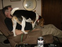 f:id:mosshaven:20070606054235j:image