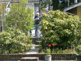 f:id:mosshaven:20080506235137j:image