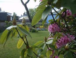 f:id:mosshaven:20080508032824j:image
