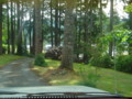 20090625211201