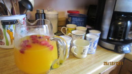 f:id:mosshaven:20111230152519j:image