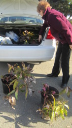 f:id:mosshaven:20120301183155j:image