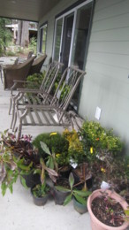 f:id:mosshaven:20120301183710j:image